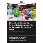 Obtention de sucres fermentescibles à partir de bagasse de canne à sucre: Technologie des procédés industriels