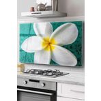 Ocak Arkası Cam Koruyucu Tezgah Ankastre Arkası Koruyucu | Plumeria Çiçek Desenli
