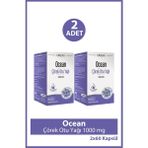 Ocean Çörek Otu Yağı 1000 Mg 60 Kapsül 2 Adet - Aromasız