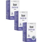 Ocean Corek Otu Yagi 60 Kapsul X 3 Adet