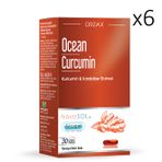 Ocean Curcumin 6x30 Kapsül