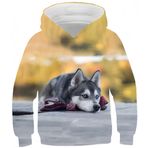 Ocean Plus Erkek Çocuk Dijital Baskı Kapüşonlu Kanguru Cepli Kız Kedi Sweatshirt Unisex Çocuk Renkli Kapüşonlu Kazak (6 yıl/115-125 cm, Husky bebek)
