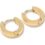 Ocean Pole Gold 3 mm Çelik Erkek Küpe