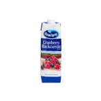 Ocean Spray Cranberry Blackcurrant 1 Lt