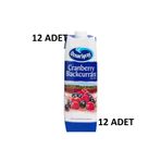 Ocean Spray Cranberry Blackcurrant Meyve Suyu, 1 Lt, 12 Adet