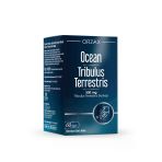 Ocean Trıbulus Terrestrıs 500 Mg 60 Cap.
