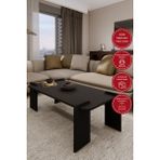 Odaco Fuji Modern Premium Oval Ayaklı %100 Mdflam Salon Orta Sehpa 120X60X40 cm - SİYAH