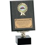 ODAK KUPA - Ahşap Plaketler - PL-006 A - 18x24 cm