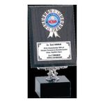 ODAK KUPA - Ahşap Plaketler - PL-008 B - 15x20 cm
