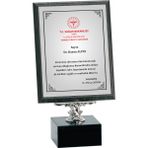 ODAK KUPA - Ahşap Plaketler - PL-008-M A - 18x24 cm