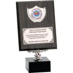 ODAK KUPA - Ahşap Plaketler - PL-012 A - 18x24 cm
