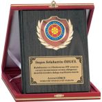 ODAK KUPA - Ahşap Plaketler - PL-016 B - 18x24 cm