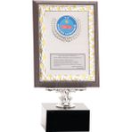 ODAK KUPA - Ahşap Plaketler - PL-018 B - 15x20 cm