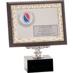 ODAK KUPA - Ahşap Plaketler - PL-020 A - 18x24 cm