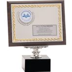 ODAK KUPA - Ahşap Plaketler - PL-024 A - 18x24 cm