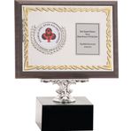 ODAK KUPA - Ahşap Plaketler - PL-024 B - 15x20 cm