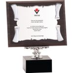 ODAK KUPA - Ahşap Plaketler - PL-040-M A - 18x24 cm