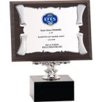 ODAK KUPA - Ahşap Plaketler - PL-040-M B - 15x20 cm