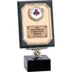 ODAK KUPA - Ahşap Plaketler - PL-042 B - 15x20 cm