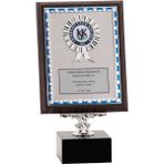 ODAK KUPA - Ahşap Plaketler - PL-050 A - 18x24 cm