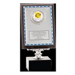 ODAK KUPA - Ahşap Plaketler - PL-050 B - 15x20 cm