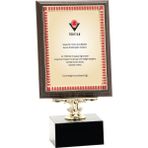 ODAK KUPA - Ahşap Plaketler - PL-054-M B - 15x20 cm