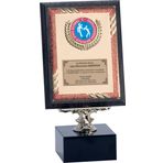 ODAK KUPA - Ahşap Plaketler - PL-094 B - 15x20 cm