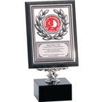 ODAK KUPA - Ahşap Plaketler - PL-116 B - 15x20 cm