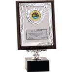 ODAK KUPA - Ahşap Plaketler - PL-124 A - 18x24 cm
