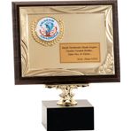 ODAK KUPA - Ahşap Plaketler - PL-126 B - 18x24 cm