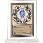 ODAK KUPA - Cam Plaketler - CM-037 B - 18x21 cm