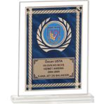 ODAK KUPA - Cam Plaketler - CM-039 B - 18x21 cm
