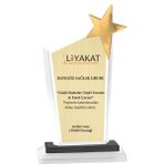 ODAK KUPA - Cam Plaketler - CM-039 C - 12x24 cm
