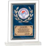 ODAK KUPA - Cam Plaketler - CM-040 A - 18x21 cm