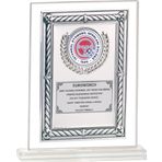 ODAK KUPA - Cam Plaketler - CM-043 B - 18x21 cm