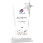 ODAK KUPA - Cam Plaketler - CM-044 A - 12x24 cm