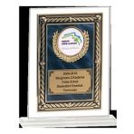 ODAK KUPA - Cam Plaketler - CM-046 B - 18x21 cm