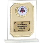 ODAK KUPA - Cam Plaketler - CM-084 A - 18x21 cm