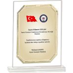 ODAK KUPA - Cam Plaketler - CM-084-M A - 18x21 cm