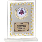 ODAK KUPA - Cam Plaketler - CM-090 B - 18x21 cm