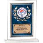 ODAK KUPA - Cam Plaketler - CM-092 A - 18x21 cm