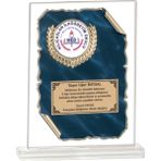 ODAK KUPA - Cam Plaketler - CM-094 B - 18x21 cm