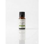 ODESENSE Çay Ağacı Uçucu Yağı 10 ml %100 Doğal Ve Saf Içerik Damlalıklı Kapaklı Şişe Katkısız