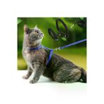 OEM 24242406811 Kedi Tasması