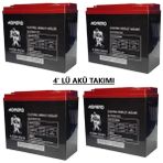 OEM Akü 12 V 20 Ah/22 Ah Elektrikli Bisiklet Aküsü (4’lü Takım) Swan Monero