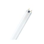 OEM Ampul 10w/54 Floresan Ampul(beyaz Işık)