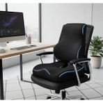 Ofis Koltuk Sırt Bel Destek Minderi ve Visco Oturma Minderi Seti, Siyah