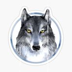 Öfkeli Kızgın Kurt Araba Sticker Oto Yapıştırması 18Cm A2