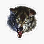 Öfkeli Kızgın Kurt Araba Sticker Oto Yapıştırması 18Cmo1