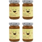 Og Natural Organik +4 Ay 4x100 gr Kayısı Püresi